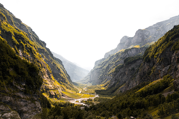 沈阳墓地一剩一换粗易细，真龙自与众山不同