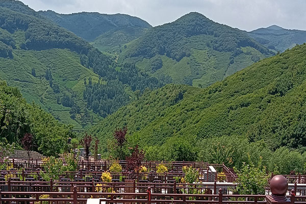 沈阳陵园文化建设森林纪念园公墓影响力