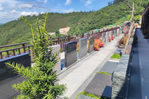 如何根据合法性、位置交通和山水环境等因素来选择沈阳陵园墓地